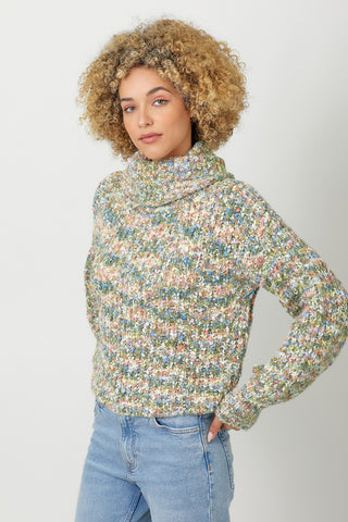 Turtle Crop Sweater