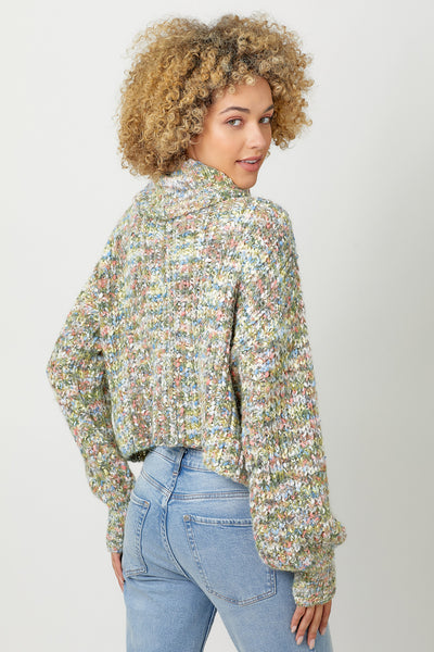 Turtle Crop Sweater