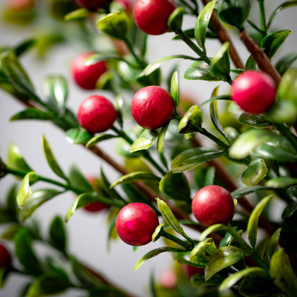 CHRISTMAS BOXWOOD BERRY SPRAY